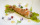 <img src="culinaire.jpg" alt="un plat de crevette avec décoration de fleurs. Photographe culinaire dans le pays de gex">